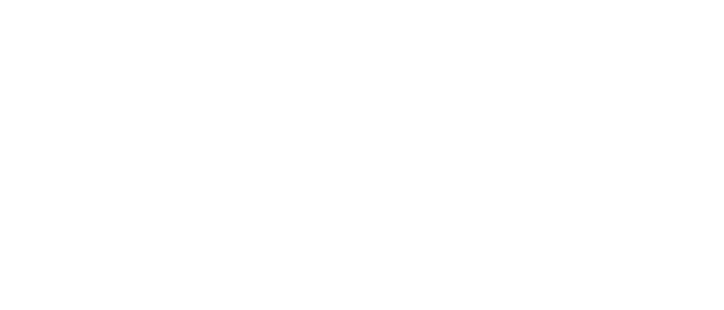 The Fit Theory